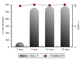 Accutase Cell Viability